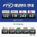 청춘어락 이미지
