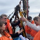 완도전복사료 이미지