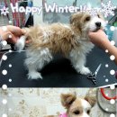 컷트의집 이미지