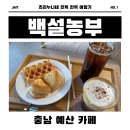 [예산/봉산] 백설농부 카페 리뷰 ㅣ 애견 동반 가능한 감성 맛집☕