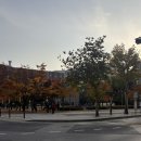 남매안경본점 렌즈미 | 카우룽 카우룽 🍂