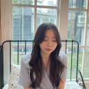 스시쇼오무 이미지