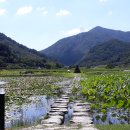 상리공원 내 이미지