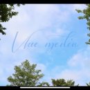 결혼식 dvd 후기) 블루미디어시네마 완전추천!
