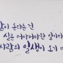연지곤지 이미지
