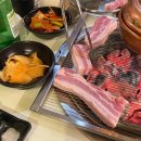 31바 5049 이미지