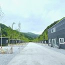 새울림오토캠핑장 이미지