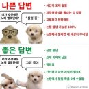 공시생 일기 4주 차 : 공시생 넷째 주 생존기. txt (커피로 피로는 막는데 눈은 아픔)
