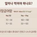 아이펫 이미지