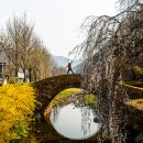 창녕 남지 개비리 이미지