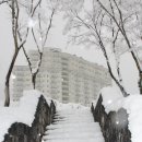 엘리시안강촌콘도 네이버블로그