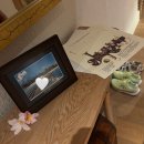 비치빌 | 몰디브 밀라이두 리조트 :: 워터빌라 후기 🤍 (플로팅 조식, 허니문 특전, 스노우 쿨링)