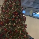 종점가든 | 12월 제주 동쪽여행 1(넝쿨하눌가든/카페진정성 종점/제주동문시장/🎄🍰🎉)