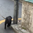 초봄 방정식