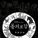 동의보감 이미지