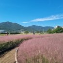 거제시농업개발원 이미지