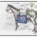 시내권 투어 1 이미지