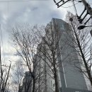 용강빌라 | 14. 마포용강 래미안 임장 후기