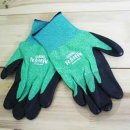 티지소프트 이미지