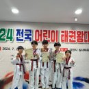 선태권도 이미지