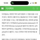 쌈장 (SSAMJANG) 이미지