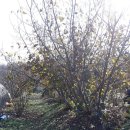 죽본농장 이미지