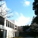 씨제이건설주식회사 나인브릿지콘도미니엄 | [제주도] 나인브릿지에서의 달콤한 휴가