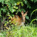 강선공원 이미지