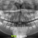 새이치과교정과치과의원 이미지