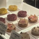 방배로32길 55 이미지