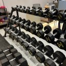 핏버디짐 이미지