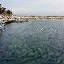 황금나무공인중개사사무소 이미지