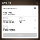 신초쭈꾸미 이미지
