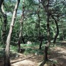 박달재자연휴양림야영장 이미지