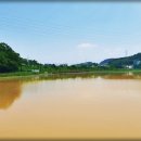 반월호수 이미지