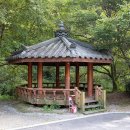 산디천 이미지