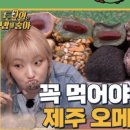 제주미르 이미지