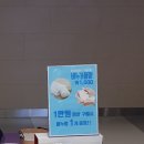 코코마루 이미지