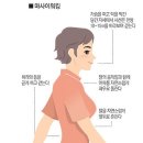 마사이 - 15548 | 마사이