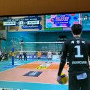 아직 거기(영종도) 살아