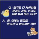 금정여자고등학교 이미지