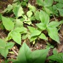 조각공원앞 1 이미지