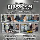 업그레이드 몬스터 하프몬 이미지