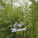 모월 | [서산 카페] 🌿서산 인지면 숲 속 감성 카페 추천! &#39;카페 모월’ 솔직후기