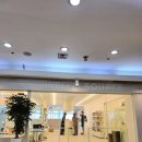 웰리스 동물병원 이미지