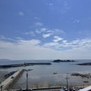 몽산포정다운 이미지