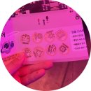 양성농장 | 🔋🤖 2025 CO-SHOW 참관 후기: 충북대 이차전지사업단 서포터즈의 생생 리포트!