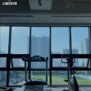 스텔라인핏 이미지