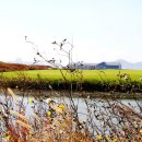 목포가족관광호텔 이미지