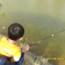 성경농장 이미지